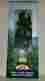 Jtt96056 96056 Jtt Pro Tree Birch 6 1 Scenery Products