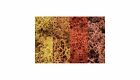 L165 Woodland Scenics Lichen Autumn Mix 0724771001652