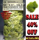 Li-2sg Scalelike 2qt Norwegain Spring