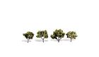 Mr95617 Jtt Scenery Woods Edge 734560956179