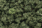 Woofc1644 Olive Green Woodland Scenics Shaker Bushes