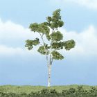 Tr1616 Paper 4 Premium Pkg. Ready Birch Scenics Woodland "-1 Tree -