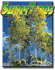 Scenic Express 215 Supertree Supervalue Case 646074002153