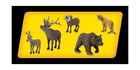 Sp4349 Woodland Scenics Diorama Wildlife Scene Setter