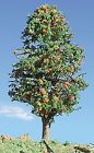 Timberline Scenery 228 2-4 Deciduous Orange Trees 3 870476000657