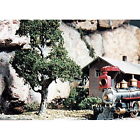 Tk21 Woodland Scenics 4-1 2 Inch Set Of Gnarled Trees 724771000211