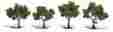 Tr1503 Woodland Scenics Light Green Trees 2 3 4 724771015031