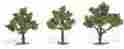 Tr1506 Woodland Scenics Light Green Trees 3 4 724771015062