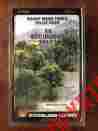 Tr1572 Mixed Green Colors Trees Inches Woodland Scenics Deciduous 3-5 14 Factory Sealed 724771015727