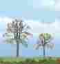 Tr1602 Woodland Scenics Dead Elm Trees 3-1 8 2-1 2 724771016021