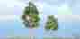 Tr1612 Woodland Scenics Aspen Trees 2 3 4 1 6.98 Cm 5.71 724771016120