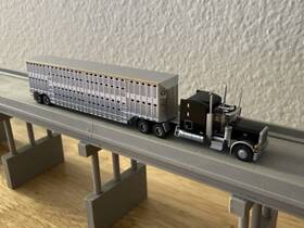 57930 Trainworx N Scale Peterbilt 379 Merritt 50th