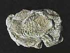Woo1237 Woodland Scenics Rock Mold Wind 724771012375 Woo1237 Woodland Scenics Rock Mold Wind 724771012375