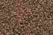 Woo1379 Woodland Scenics 1379 Medium Ballast Shaker Brown