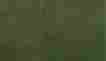 Woorg5173 Rg5173 Woodland Scenics 25 X 33 Grass Mat Forest 724771051732