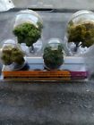 Woosp4150 Woodland Scenics Deciduous Trees Pcs