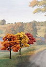 Wootr1577 Woodland Scenics Ready Made