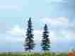 Wootr1621 Tr1621 Woodland Scenics Premium Spruce Tree 5 4 2 724771016212