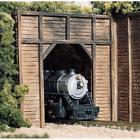 1254 Ws Woodland Scenics Ho