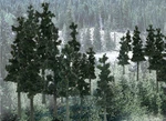 Woodland Scenics Value Trees Conifer 6" To 8" 12 Pieces TR1582. Fixed Price $33.87.