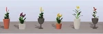 Jtt Assorted Potted Flower Plants Set #4 PKG(6) 05-95572. Fixed Price $14.98.