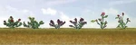 Jtt Assorted Flower Plants - Set #1 Scale Model Railroad #95558. Fixed Price $9.90.