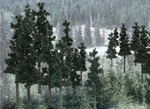 Woodland Scenics TR1580 1/2" - 4" Conifer Colors (33). Fixed Price $31.69.
