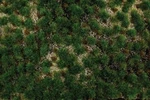 Bachmann Tufted Grass Sheet/mat Scenescapes Western Range 3/16IN Fibers 32924. Fixed Price $35.98.