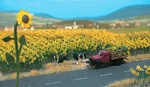 Sunflower Field Plants 15.5 Sq Inches Ho Scale Scenry Plastic Kit 6003 New. Fixed Price $54.95.