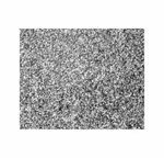 Scenic Express Natural Stone Ballast #40 Blended 1/2 Gallon 1.89L 0356. Fixed Price $40.79.