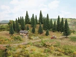 Noch 26822 Scale Tall Fir Trees -- 6-5/16 7-1/2" 16-19CM PKG(10). Fixed Price $42.99.