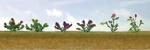 Flowering Plants Assortment 1, 3/4" (10). Fixed Price $17.73.