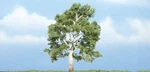 Woodland Scenics TR1609 3 7/8" Sycamore. Fixed Price $16.69.