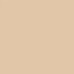 Tru-color Sand Flat Brushable Acrylic Paints 1OZ 29.6ML TCP-829. Fixed Price $9.98.