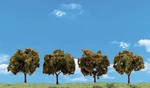 Woodland Scenics TR3592 Orange Trees 2" - 3" Set Of Four New. Fixed Price $12.50.