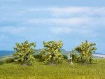 Noch 25115 Ho Scale Three Lemon Trees - Height 40 Mm. Fixed Price $13.45.