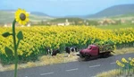 Sunflower Field Busch 6003. Fixed Price $19.38.