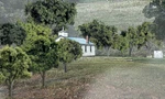 Woodland Scenics Value Trees Green Mix 2" To 3" 23 Pieces TR1571. Fixed Price $43.97.