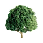 Jtt Scenery Products Professional Series: Oak, 1.5". Fixed Price $24.53.