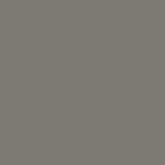 Tru-color Delaware & Hudson Gray Railroad Acrylic Paints 1OZ 29.6M TCP-029. Fixed Price $9.98.