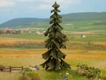 Noch 21922 Ho Scale Trees -- Spruce 14.5CM. Fixed Price $21.99.