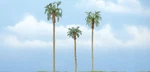 Woodland Scenics TR1617 Royal Palm (3). Fixed Price $20.69.