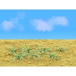 Jtt Ho Ferns 5/8IN 1.6CM Wide PKG(12) 95533. Fixed Price $14.98.