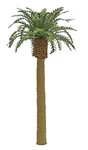 Jtt Professional Series Phoenix Palm Tree 6IN 15.2CM Tall 96044. Fixed Price $19.98.