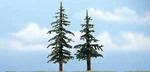 Woodland Scenics TR1628 Lodgepole Premium Trees (2). Fixed Price $19.69.