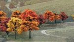 Woodland Scenics 1575 Deciduous Trees, Mixed Fall Colors Value Pack (38 Pcs). Fixed Price $37.75.