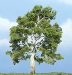 Woodland Scenics TR1609 Premium Sycamore Tree, 4". Fixed Price $13.99.