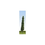 Peco P600 Poplar Trees, Green 125MM (4) Tall Slender, Used As Wind Break. Fixed Price $15.15.