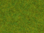 Noch 50210 Pack Of Green Spring Fiber Gr. 100 (height 2.5 Mm). Fixed Price $13.26.