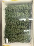 Heki Nr. 307 Mini-forest 4"-7" Pine Trees Qty 12 The Box. Fixed Price $30.00.